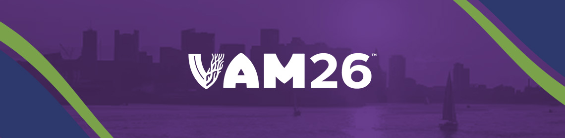 Boston Skyline with Water View