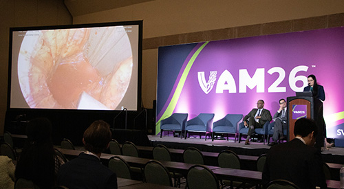 Presenting at VAM with video